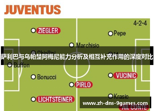 萨利巴与乌帕楚阿梅尼能力分析及相互补充作用的深度对比